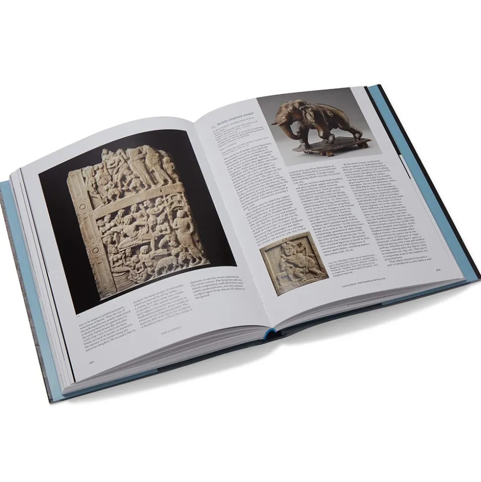 Tree & Serpent: Early Buddhist Art In India