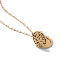 Ancient Wings Locket