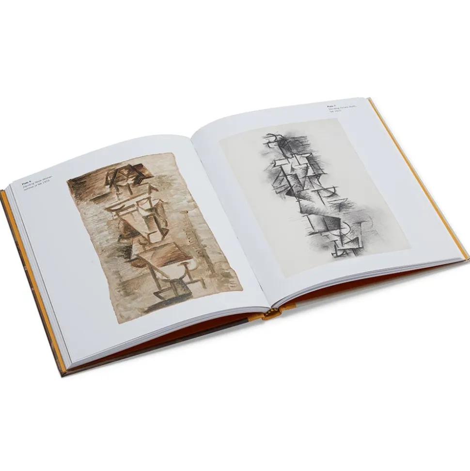 Picasso: A Cubist Commission In Brooklyn