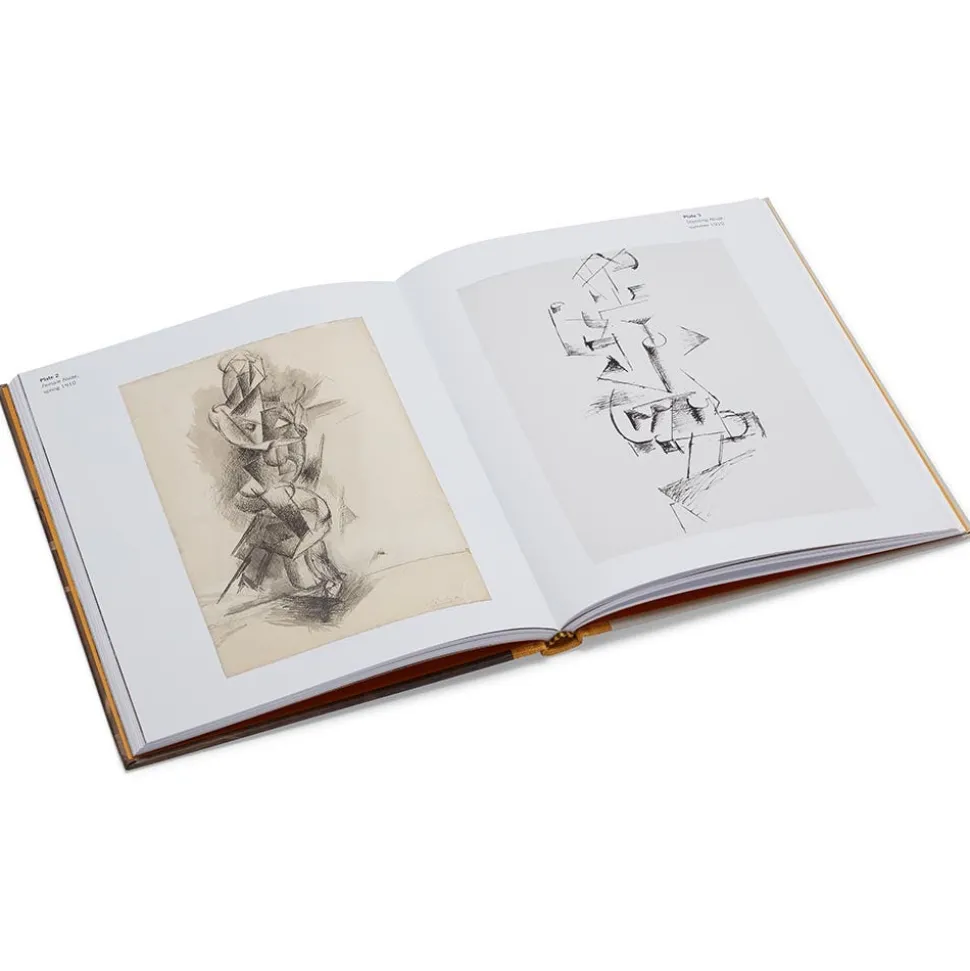 Picasso: A Cubist Commission In Brooklyn