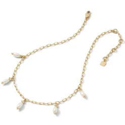 Royal Tudor Pearl And Chain Necklace