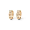 Star Huggie Earrings