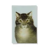 The Favorite Cat Glass Tray